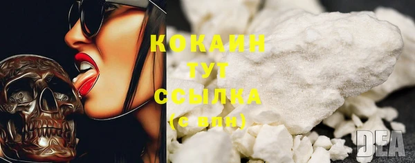 шишки Армянск