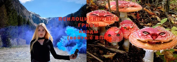 метадон Аркадак