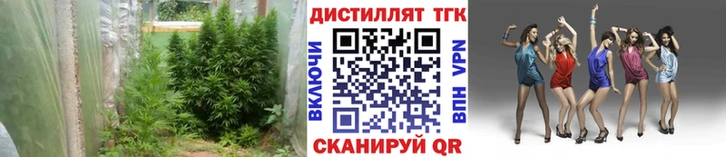 ТГК концентрат  где найти   Тюмень 